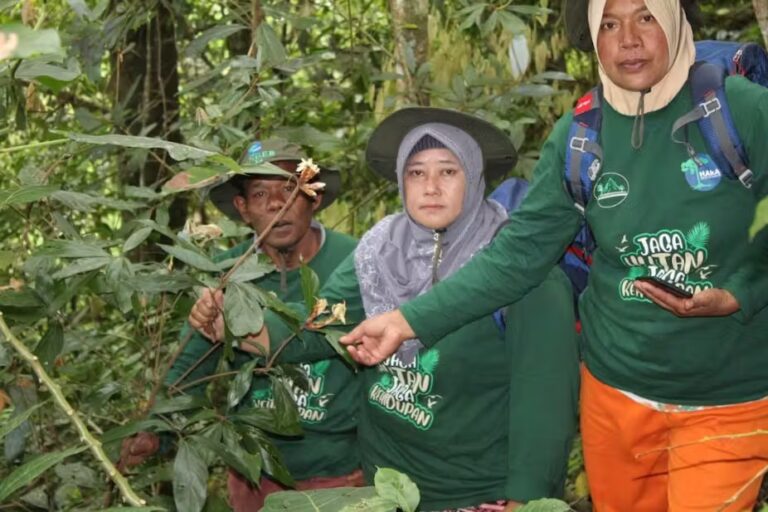 Mpu Uteun: kelompok perempuan pelindung hutan Aceh yang melawan patriarki